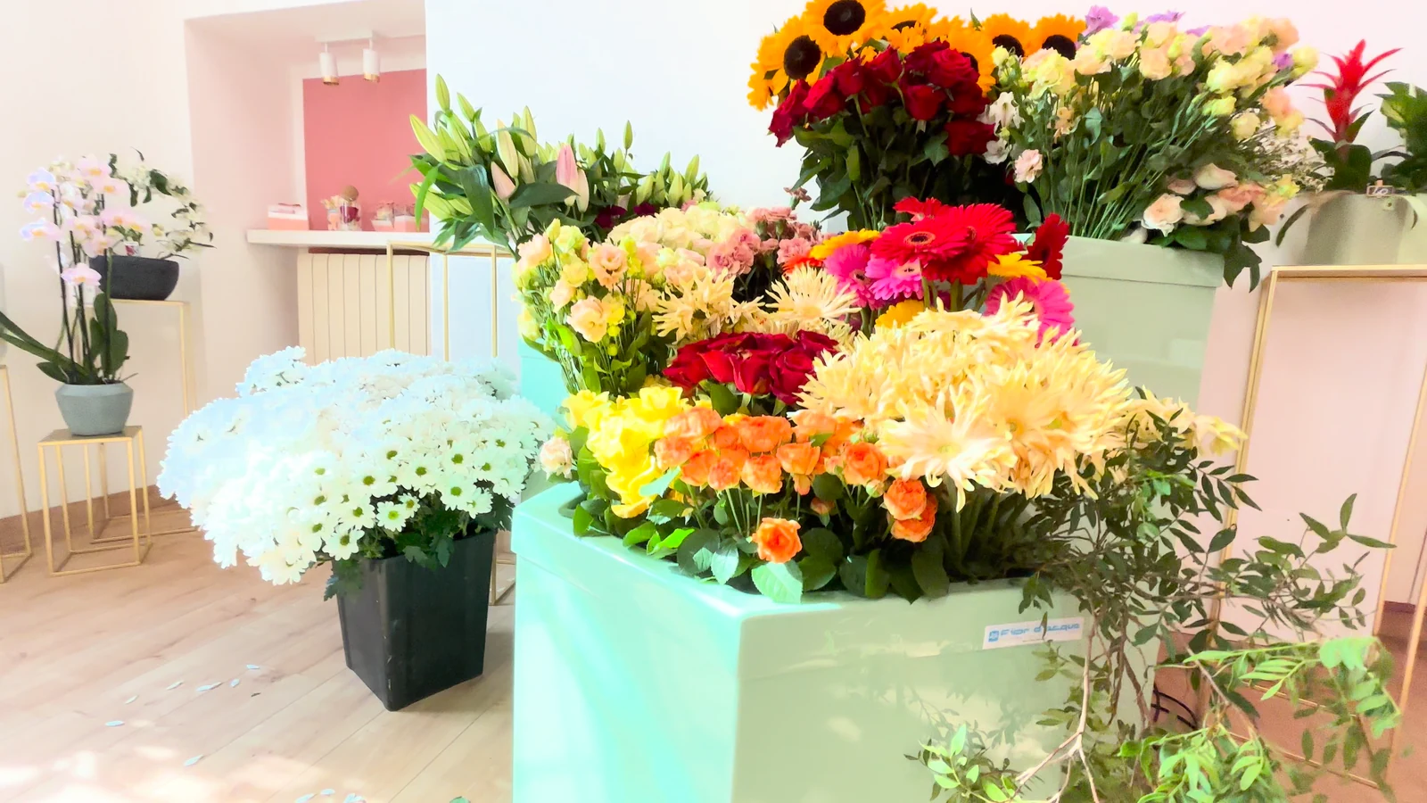 Fiori freschi colorati esposti da Emozioni Fiorite