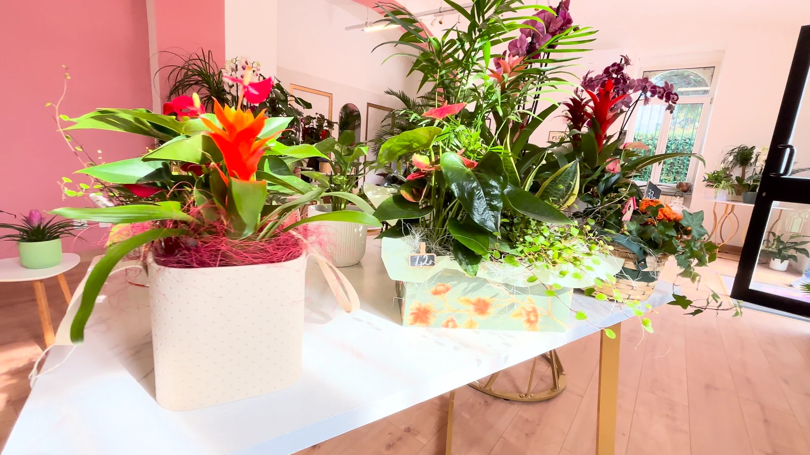 Composizioni di piante e fiori sui tavoli dell’atelier